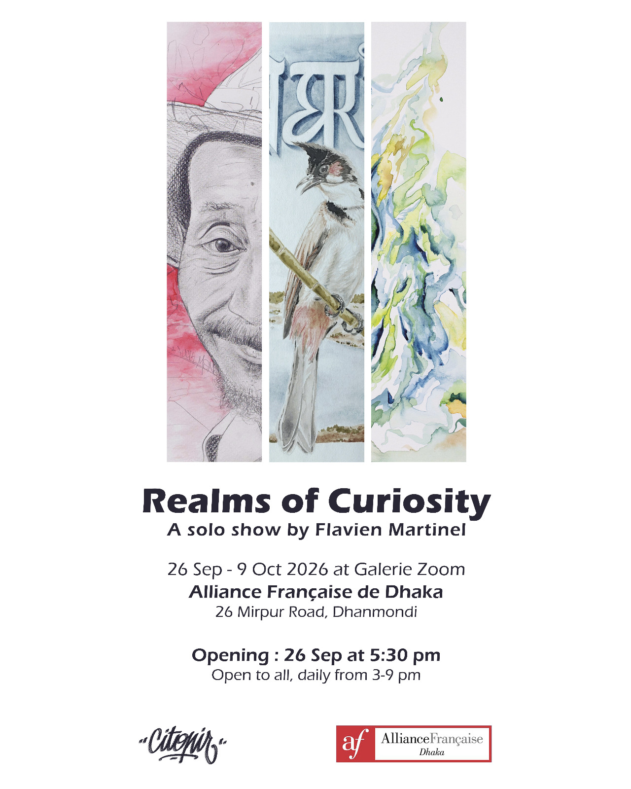 Realms of Curiosity